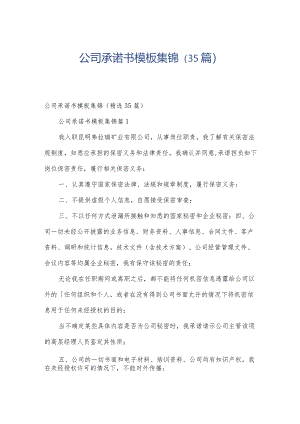 公司承诺书模板集锦（35篇）.docx