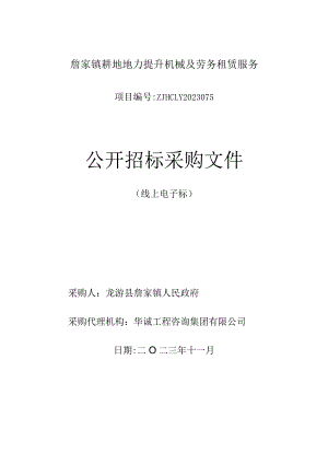 耕地地力提升机械及劳务租赁服务招标文件.docx