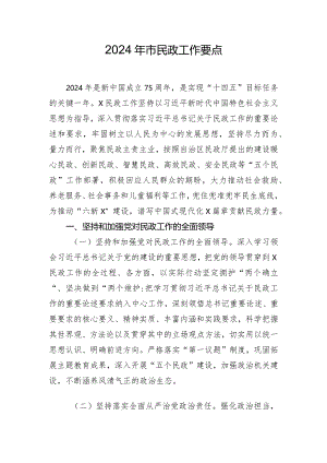 2024年市民政工作要点.docx