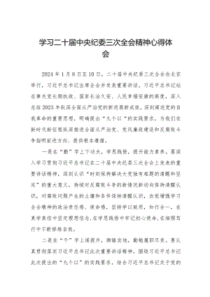 学习二十届中央纪委三次全会精神心得体会精品范文十九篇.docx