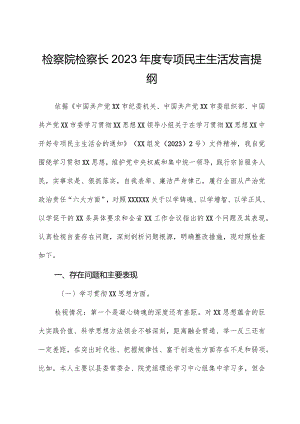 检察院检察长2023年度专题民主生活发言提纲.docx