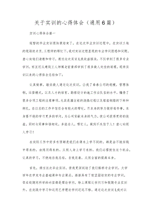 关于实训的心得体会（通用6篇）.docx