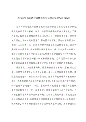 当代大学生在践行总体国家安全观的使命与担当心得.docx