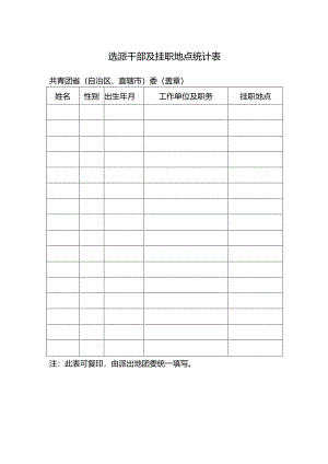 选派干部及挂职地点统计表.docx