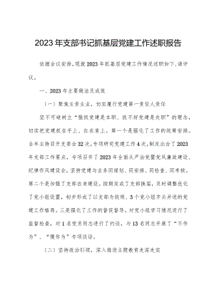 2023年支部书记抓基层党建工作述职报告01.docx