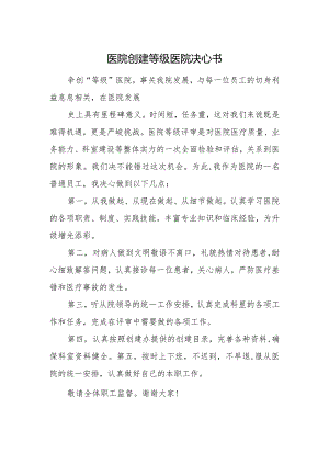 医院创建等级医院决心书.docx