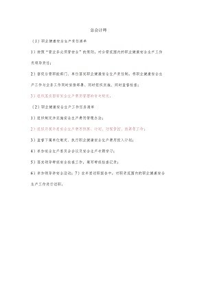 总会计师职业健康安全生产责任清单及工作任务清单.docx