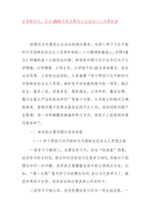 区副书记、区长2023年度主题教育民主生活会个人检查材料（政绩观六个自觉坚定方面思想维护权威领导践行宗旨全面从严责任等发言提纲检视剖析.docx