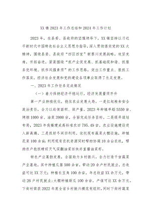 XX镇2023年工作总结和2024年工作计划.docx