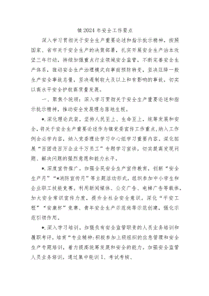 镇2024年安全工作要点.docx