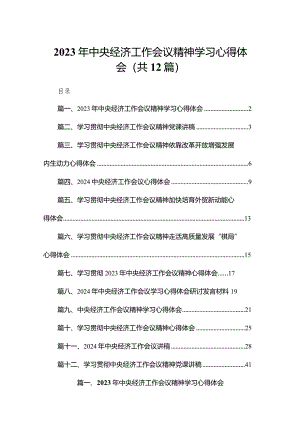 2023年中央经济工作会议精神学习心得体会12篇供参考.docx
