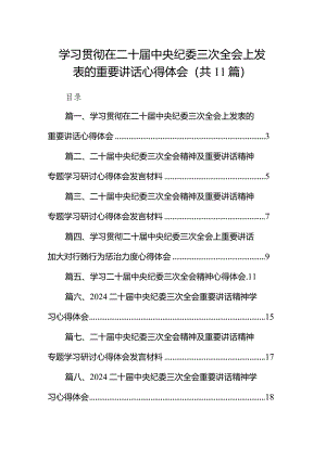 2024学习贯彻在二十届中央纪委三次全会上发表的重要讲话心得体会11篇（精选版）.docx
