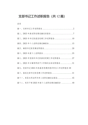 支部书记工作述职报告12篇供参考.docx