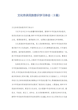 文化传承民族意识学习体会(3篇).docx