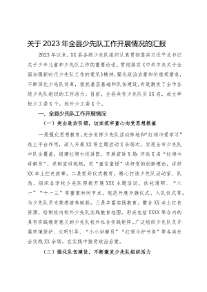 关于2023年全县少先队工作开展情况的汇报.docx