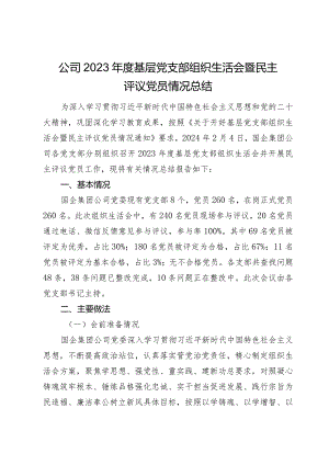 公司2023-2024党支部组织生活会暨评议党员情况总结.docx