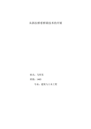 斜拉桥发展史及现状综述.docx