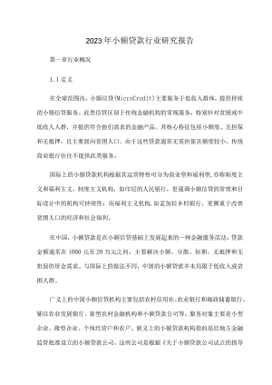 2023年小额贷款行业研究报告.docx