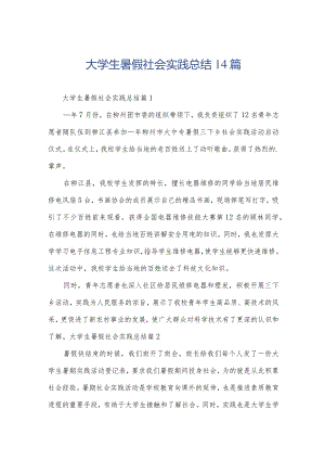 大学生暑假社会实践总结14篇.docx