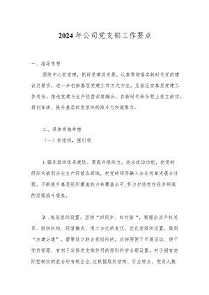 2024年公司党支部工作要点.docx