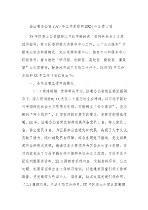 县区委办公室2023年工作总结和2024年工作计划.docx