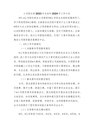 公司团支部2023年总结和2024年工作计划.docx