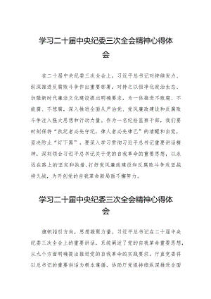 二十届中央纪委三次全会精神心得体会发言稿十九篇.docx