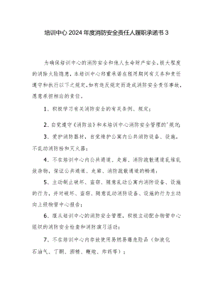 培训中心2024年度消防安全责任人履职承诺书3.docx
