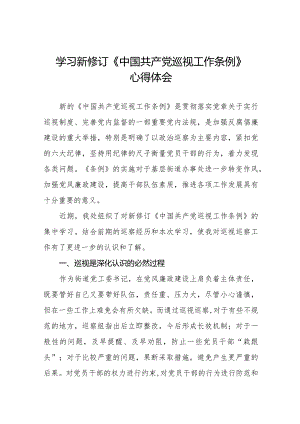 街道干部关于学习新修订《中国共产党巡视工作条例》心得体会交流发言五篇.docx