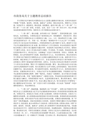 市商务局关于主题教育总结报告.docx