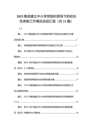 （11篇）推进建立中小学党组织领导下的校长负责制工作情况总结汇报精选.docx