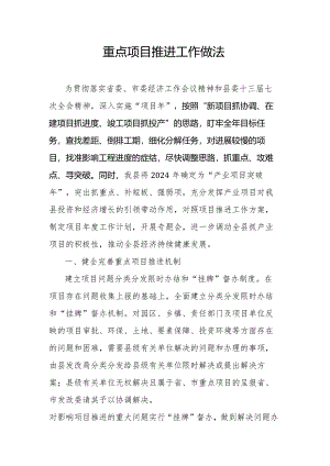 重点项目推进工作做法.docx