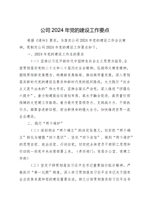 企业公司2024年党的建设（党建）工作要点2025.docx