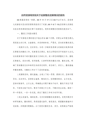 自然资源局党组关于巡察整改进展情况的报告.docx