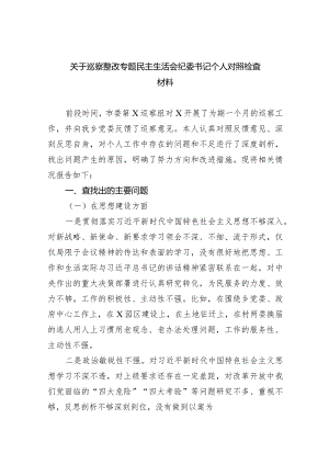 关于巡察整改专题民主生活会纪委书记个人对照检查材料8篇（详细版）.docx