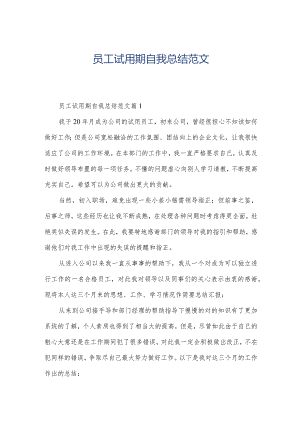 员工试用期自我总结范文.docx