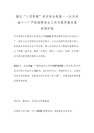 强化“三项举措”夯实安全根基——长庆采油十一厂严抓细管安全工作为高质量发展保驾护航.docx