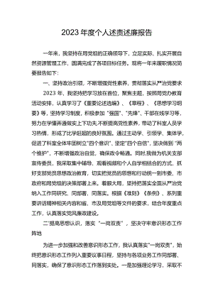 2023年度述职述廉报告.docx