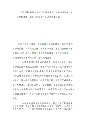 学习2024年树立和践行正确政绩观“政绩为谁而树、树什么样的政绩、靠什么树政绩”研讨发言集合篇.docx