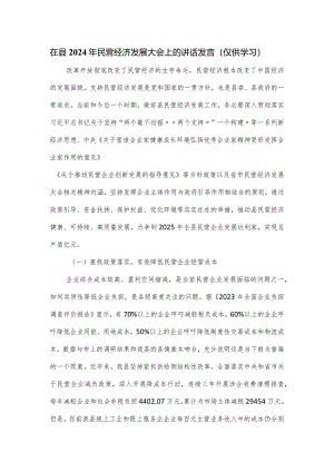 在县2024年民营经济发展大会上的讲话发言.docx