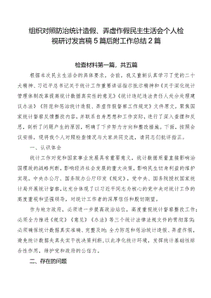 组织对照防治统计造假、弄虚作假民主生活会个人检视研讨发言稿5篇后附工作总结2篇.docx