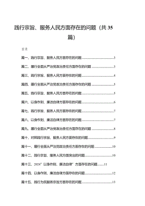 （35篇）践行宗旨、服务人民方面存在的问题供参考.docx