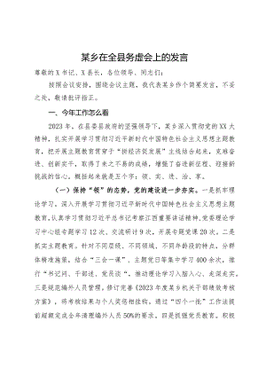 某乡在全县务虚会上的发言.docx