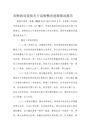 市财政局党组关于巡察整改进展情况报告.docx