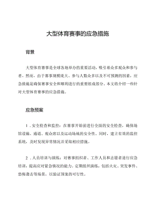 大型体育赛事的应急措施.docx