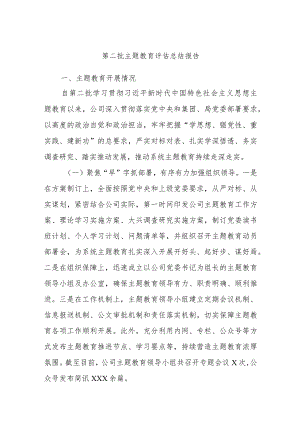 第二批主题教育评估总结报告.docx