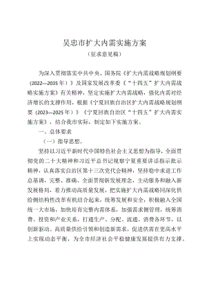 吴忠市扩大内需实施方案.docx