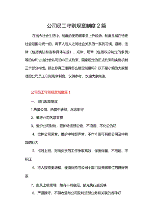 公司员工守则规章制度2篇.docx