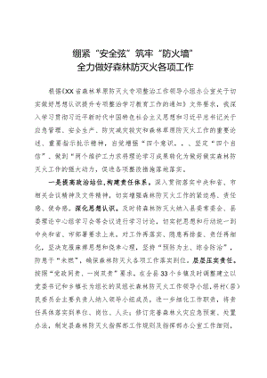 做好森林草原防灭火工作经验交流发言材料.docx