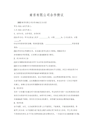 南京有限公司合作协议.docx